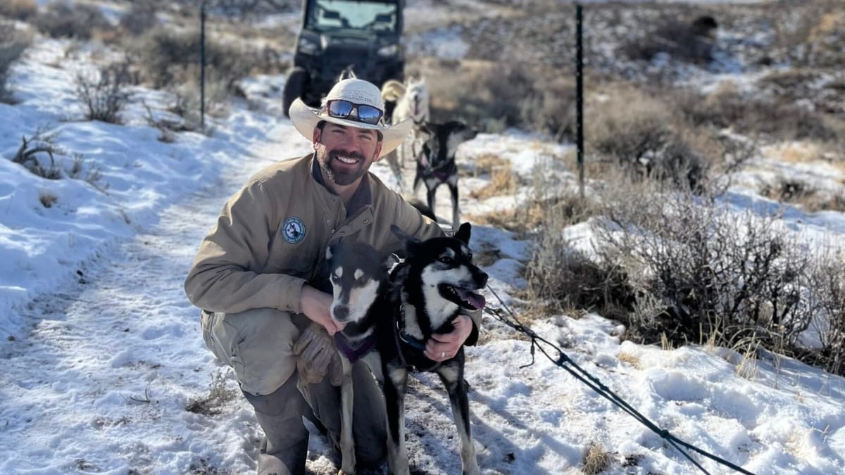 100 dogs, one family's mission: Inside Park City's unique sled dog sanctuary