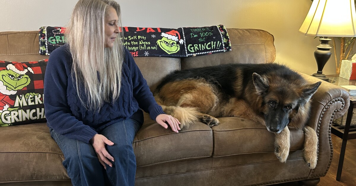 After groomer cut off part of her dog's tail, owner forced to pay hundreds