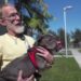 Animal rescue fights back against South Florida’s skyrocketing dog dumping problem