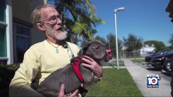 Animal rescue fights back against South Florida’s skyrocketing dog dumping problem