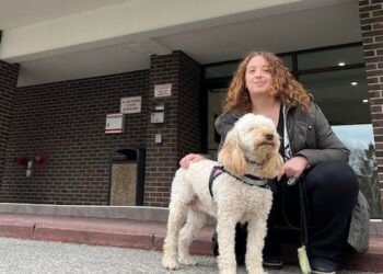 Condo board backs down after trying to restrict visitors with service dogs