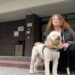 Condo board backs down after trying to restrict visitors with service dogs