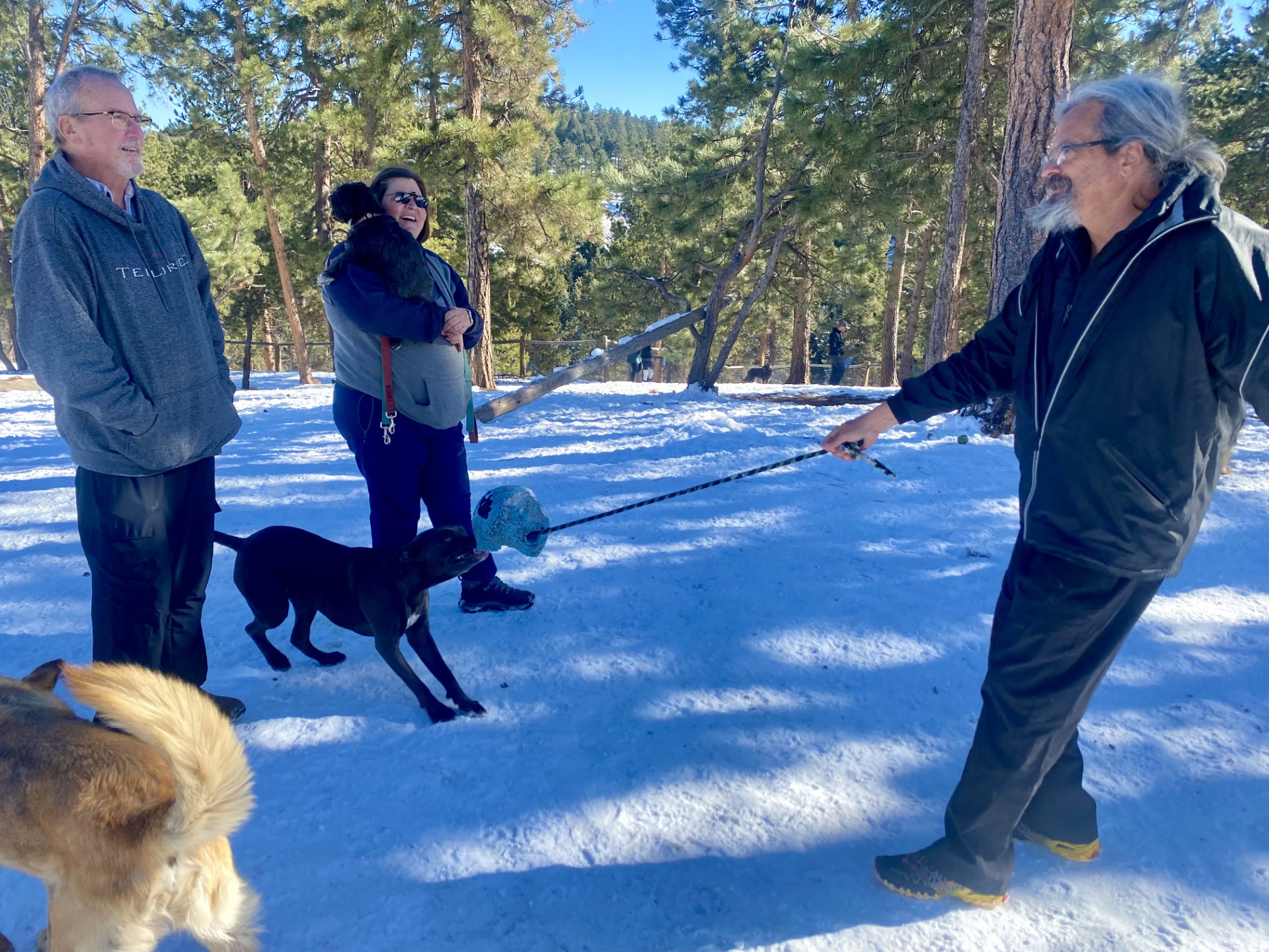 Conifer dog park proposal sparks concerns