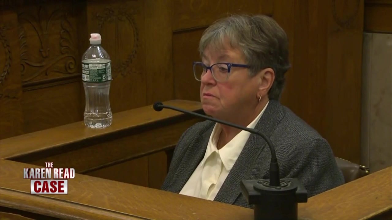 Defense dog bite expert takes the stand at hearing in Karen Read case - Boston News, Weather, Sports