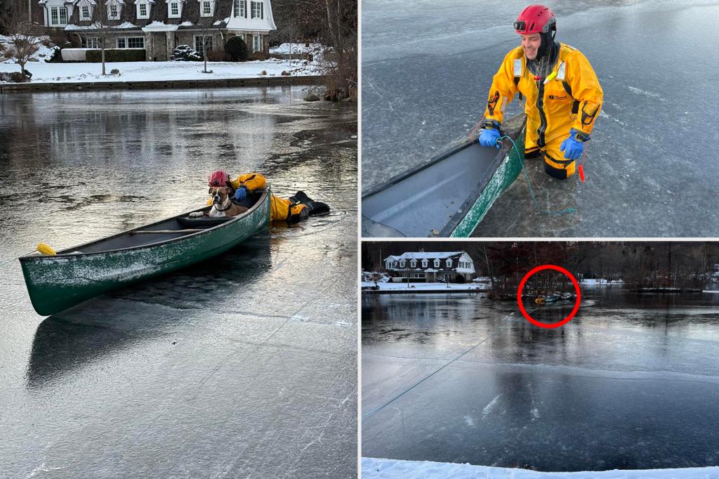 Dog rescued after falling through ice on NJ lake