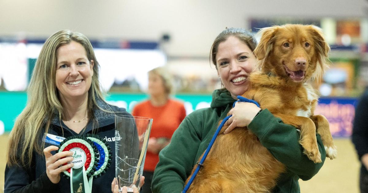 Durham woman heading to Crufts with her dog after win