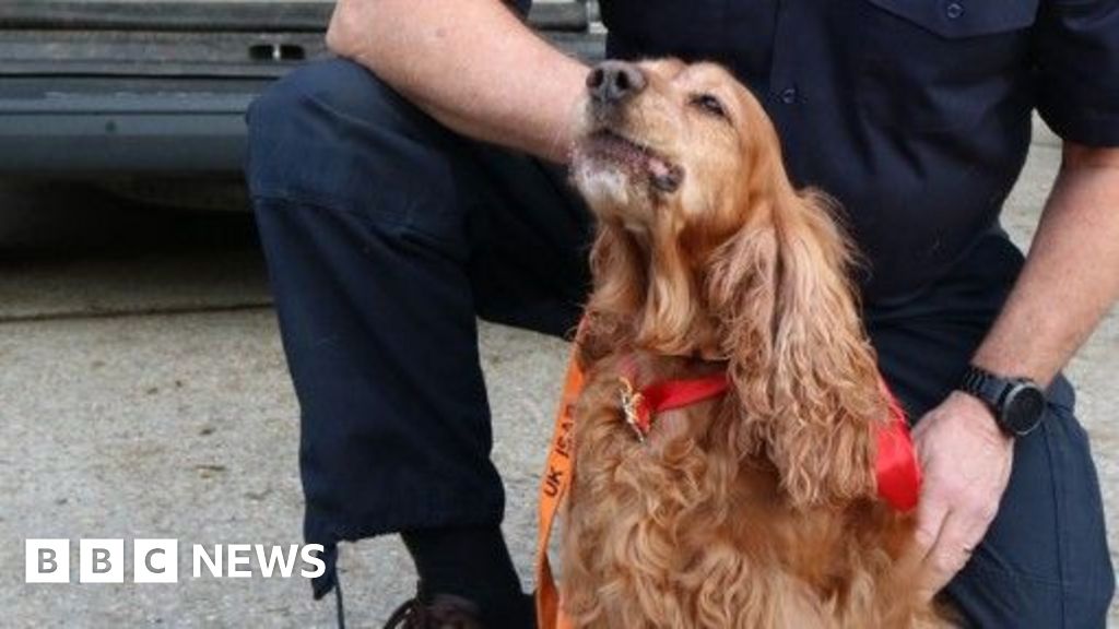 Essex fire and rescue service dog retires after 10-year career