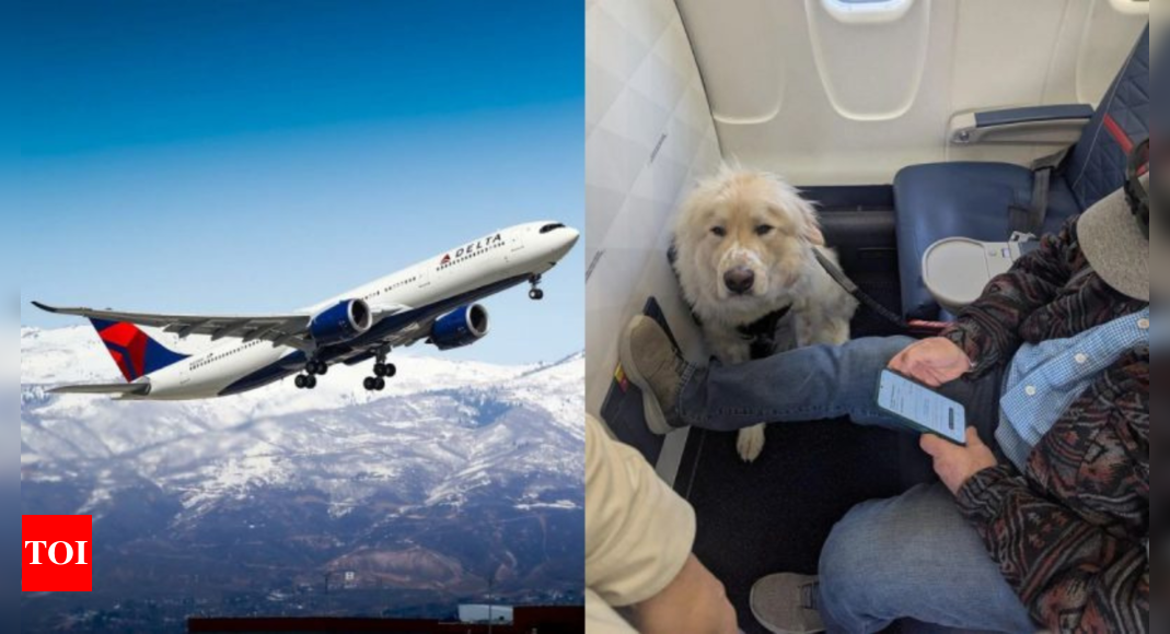 First-Class Seat: ‘Absolute joke’: Passenger annoyed as Delta Airlines gives his first-class seat to service dog