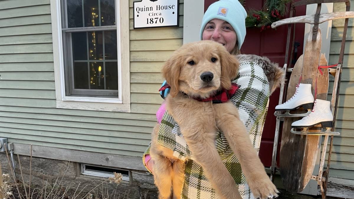 Higganum family grateful to find missing dog thanks to ‘Christmas miracle’ from neighbor – NBC Connecticut