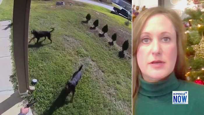 Liberty County resident says she was arrested for how she handled dog attack