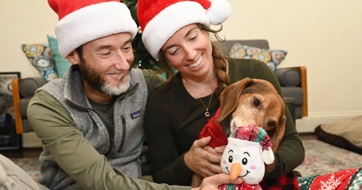 Local rescued dog celebrates its first cozy Christmas