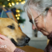 Lurcher rehomed after 1,000 days in RSPCA kennels in Cambridgeshire