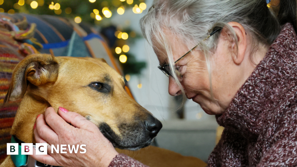 Lurcher rehomed after 1,000 days in RSPCA kennels in Cambridgeshire