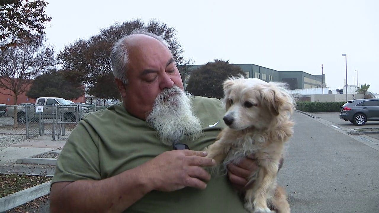 Man reunited with dog for holidays after 11 years apart