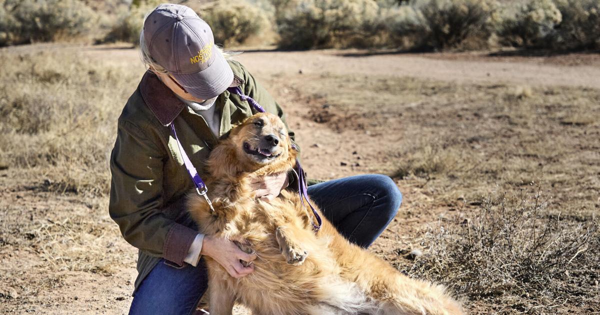 Monitoring of former landfill site at Frank Ortiz Dog Park continues | Local News