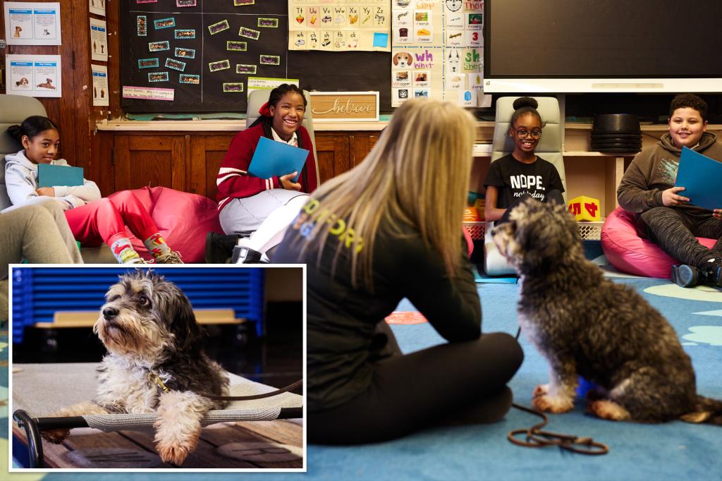 NYC's 'Comfort Dog Program' helps students boost confidence