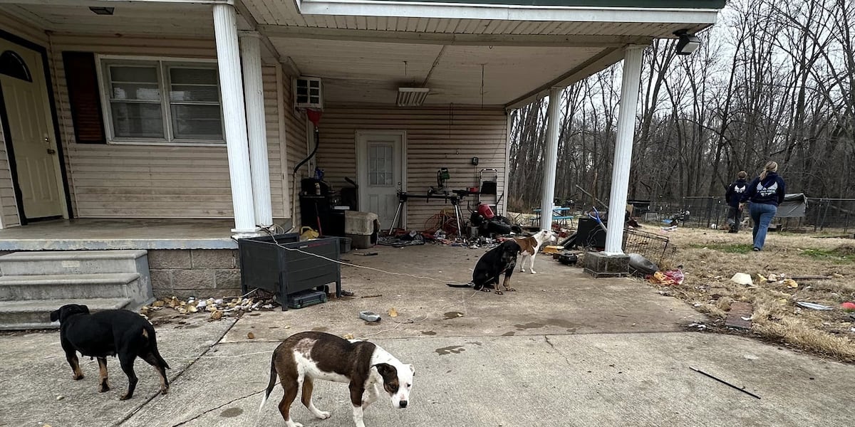 Neglected dogs found ‘surrounded by skulls and bones’ at rural TN property