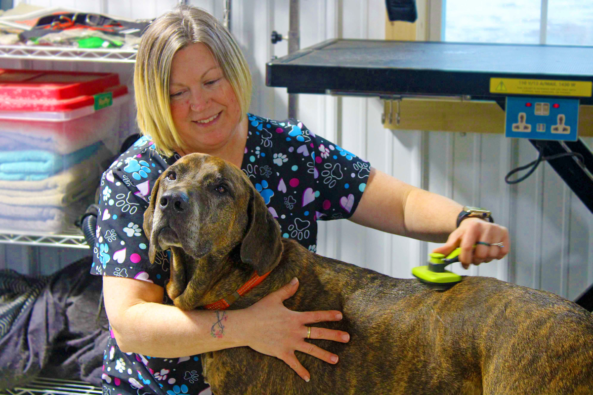 New dog kennel and groomer opens in Fort Fairfield