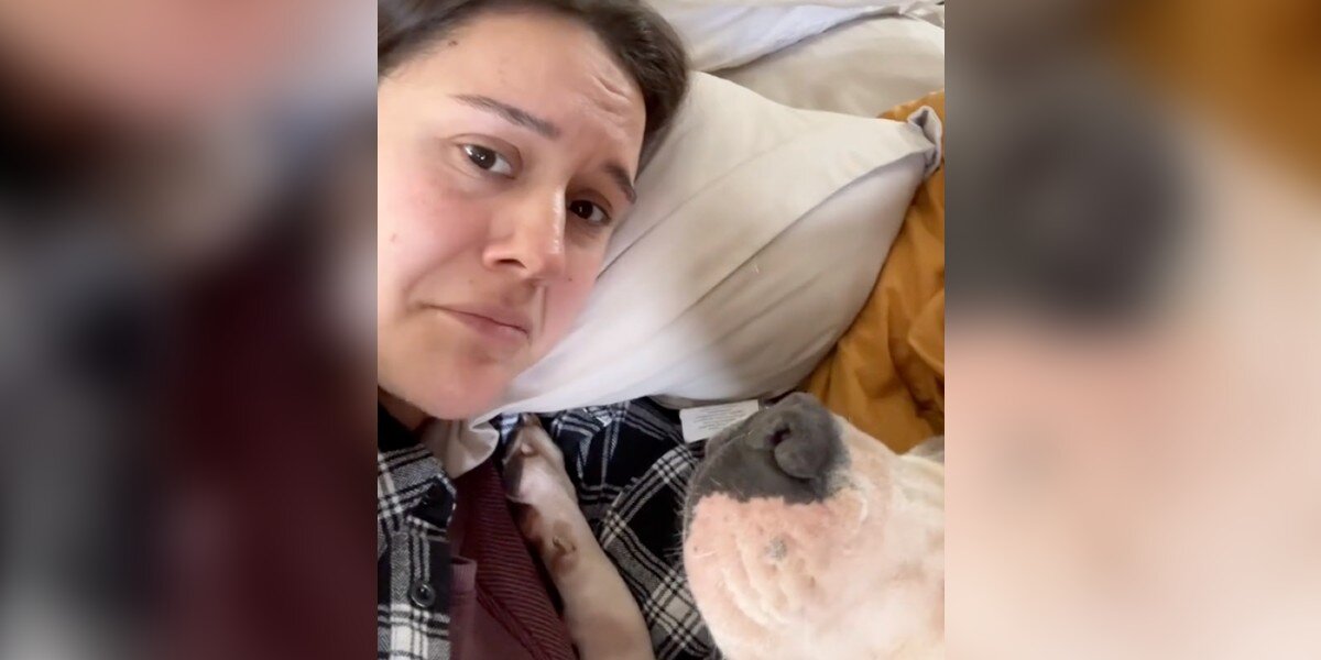 She Was Crying On The Couch — Then Her Foster Dog Did The Sweetest Thing