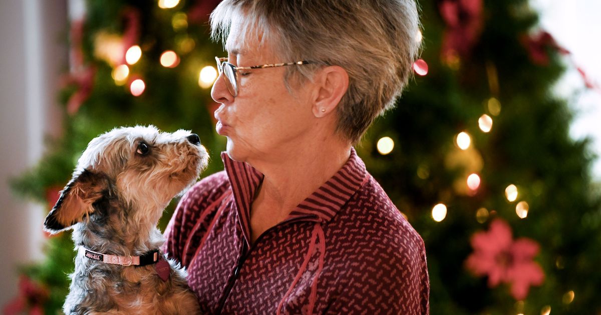 'She's our early Christmas gift': Dog abandoned in California orchard for weeks finds love in Spokane