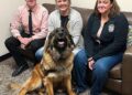 This dog helps ease the fear and pain of kids testifying against abusers in Becker County District Court - Detroit Lakes Tribune