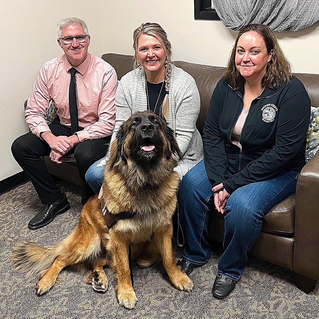 This dog helps ease the fear and pain of kids testifying against abusers in Becker County District Court - Detroit Lakes Tribune