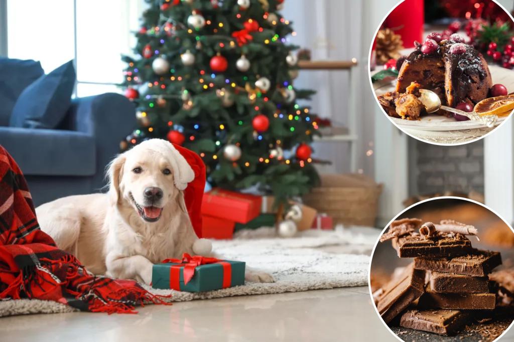 Vets warn against giving your dog these common Christmas foods: 'They can react badly'