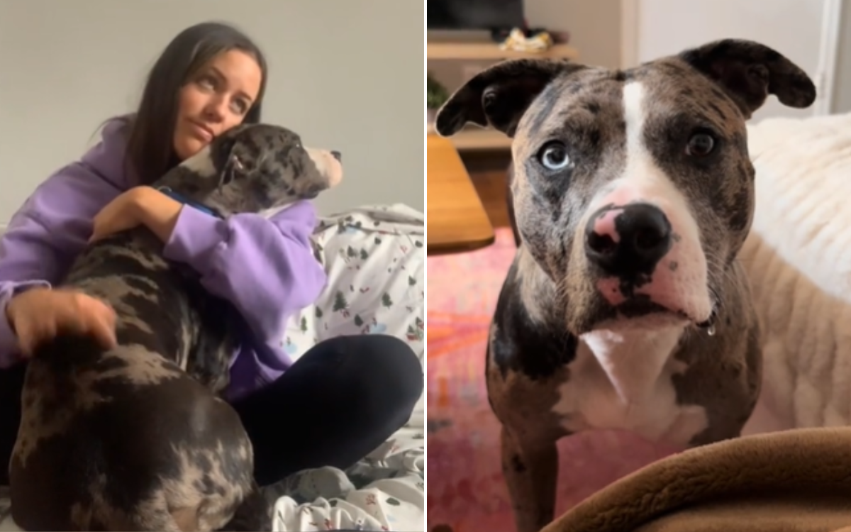 Julia Zupan and Margot the shelter dog.