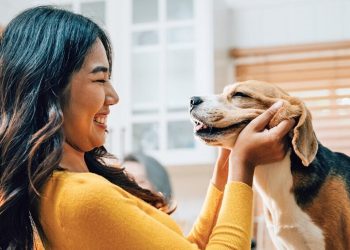 Want to have a deeper connection with your pet dog? Study says gaze into their eyes