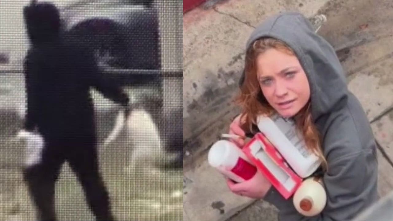 Woman caught throwing dog in Long Beach in graphic video