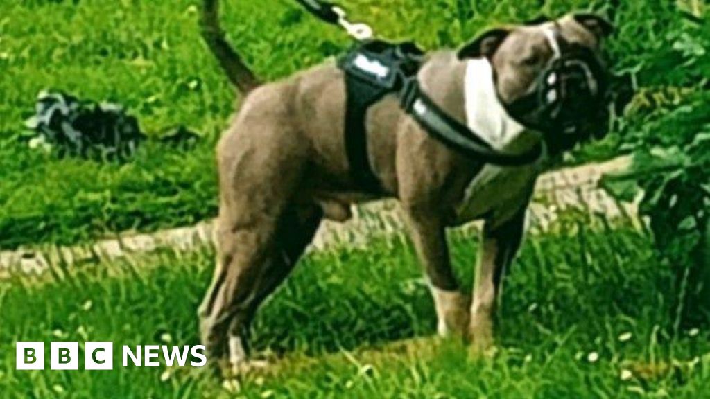 Woman killed by dog in Aberdeen was charged over earlier attack