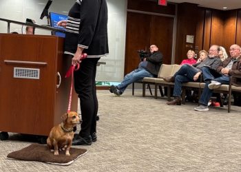 Woman urges city council to change dangerous dog code after attack