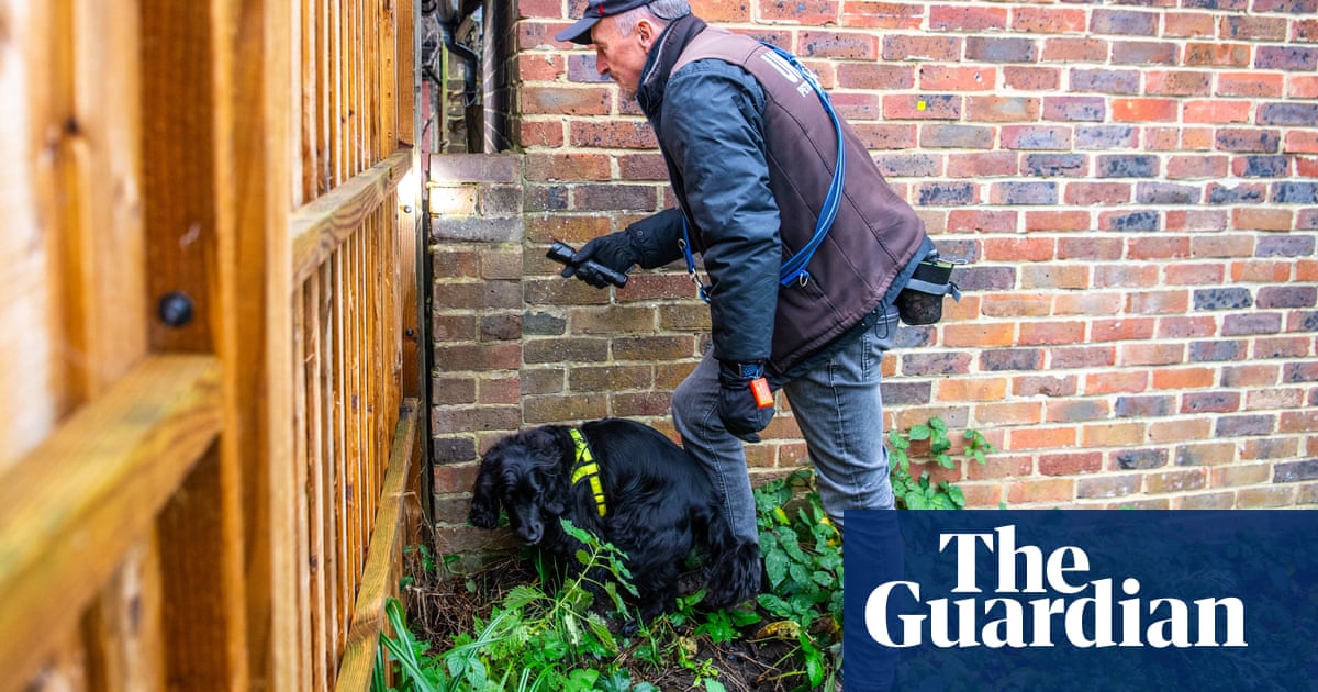 ‘I could work every day of the week’: the life of a UK pet detective as thefts rise | Crime