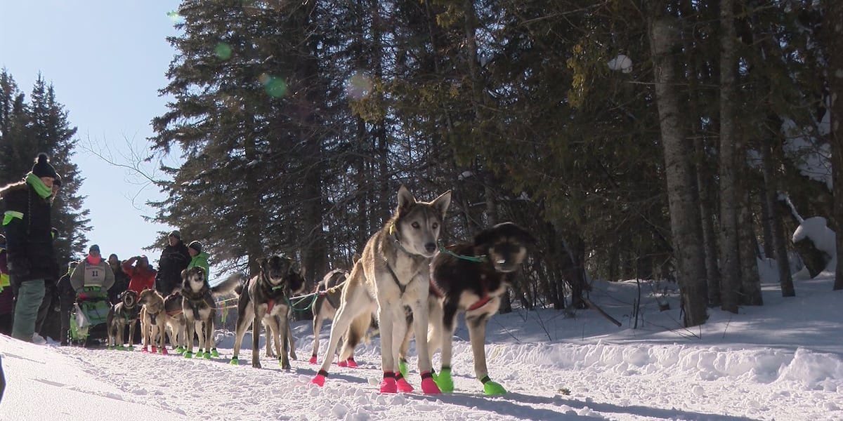 2025 John Beargrease Sled Dog Marathon postponed