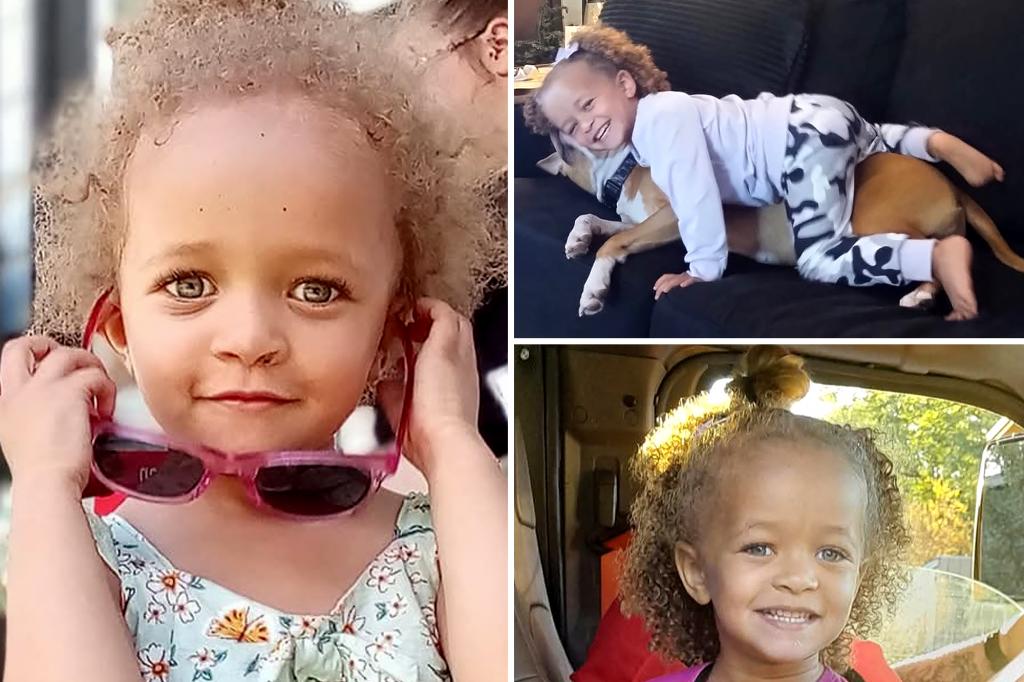 3-year-old girl mauled to death by giant dogs at Cincinnati home