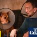 Alone No More review – touching shaggy dog tale about a stray mutt who rescues a lonely man | Film