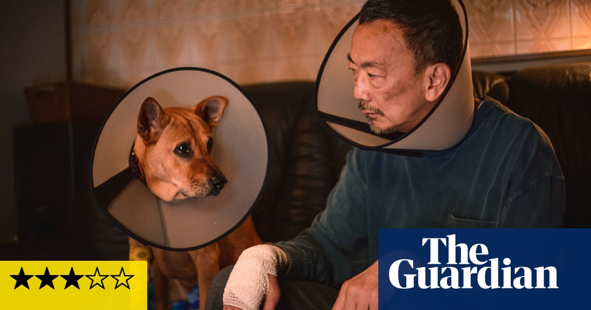 Alone No More review – touching shaggy dog tale about a stray mutt who rescues a lonely man | Film