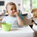 Are cats and dogs smarter than babies?