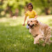 Bahamas Bowl's Kids Vs Dog Race Was An Absolute Debacle