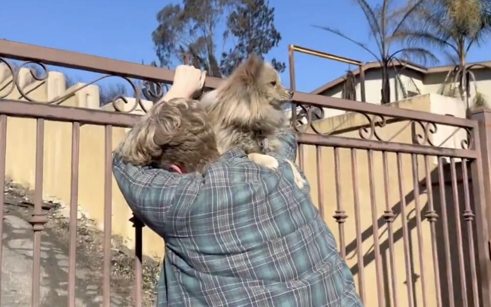 California Man Who Lost His Home In Wildfire Finds His Dog Alive In The Rubble Five Days Later