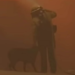 California wildfires: Firefighter comforts dog amid devastating blaze | Video | World News