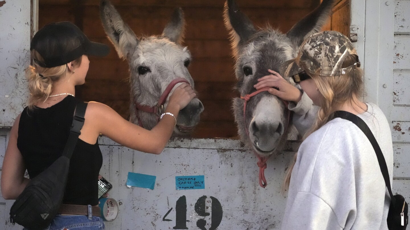 Californians scrambled to evacuate dogs, cats, horses, even pigs as LA flames closed in