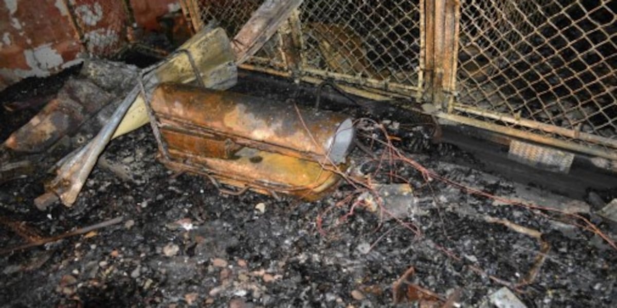 Cause of deadly No Dogs Left Behind kennel fire released