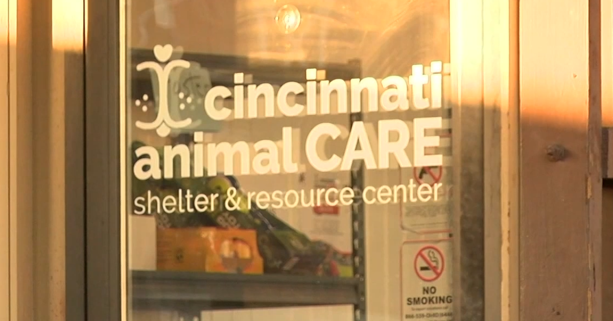 Cincinnati Animal CARE asks for info after man allegedly shot dog in Millvale