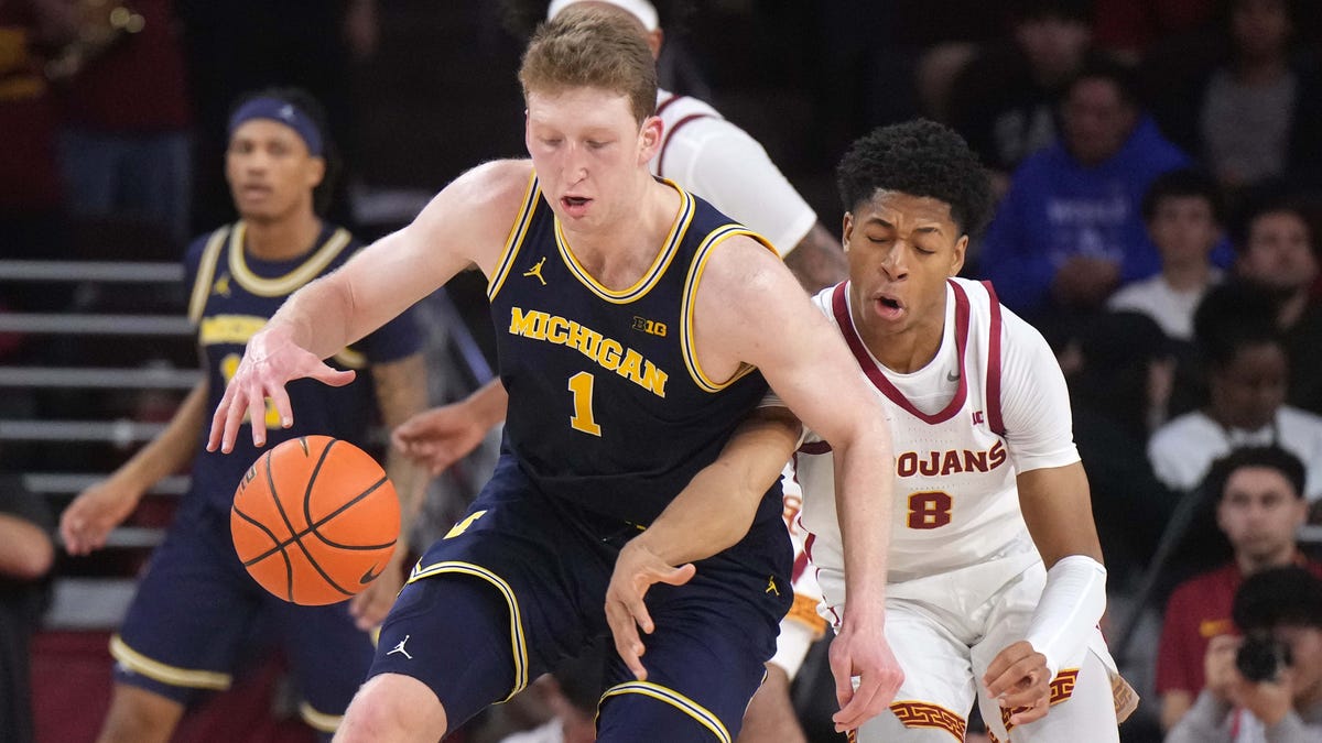 Danny Wolf is now Michigan basketball's unquestioned alpha dog