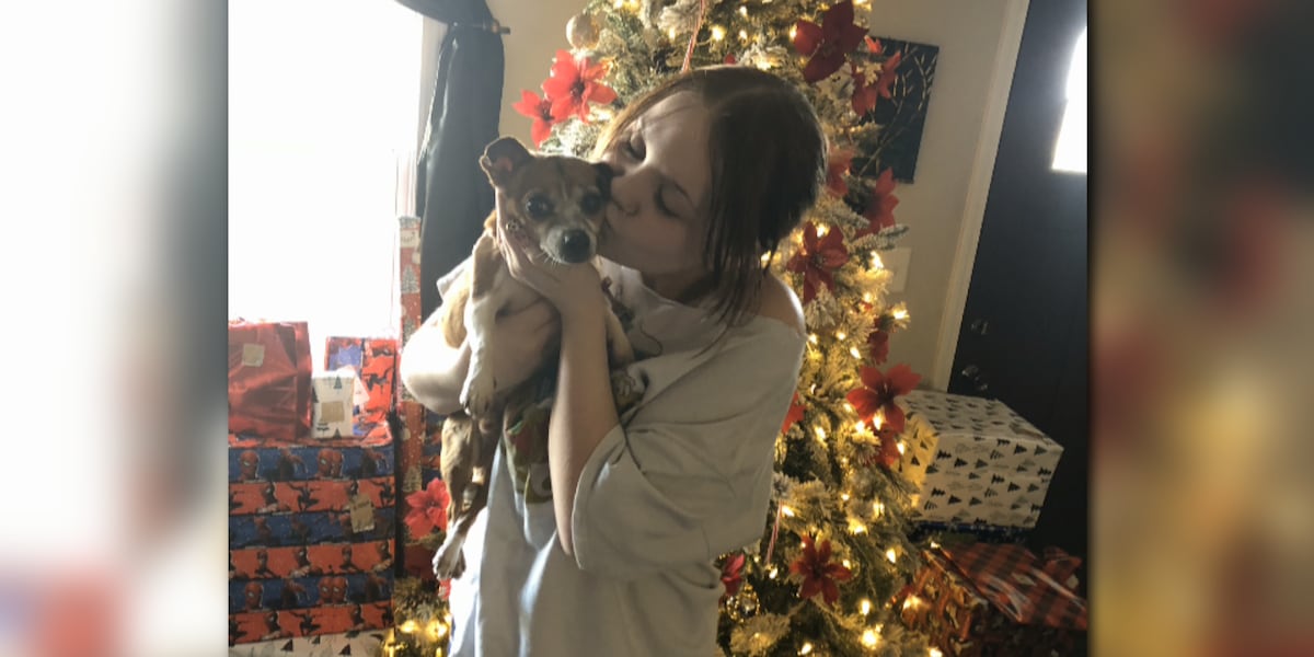 Diabetic dog finds furr-ever home with an owner just like him