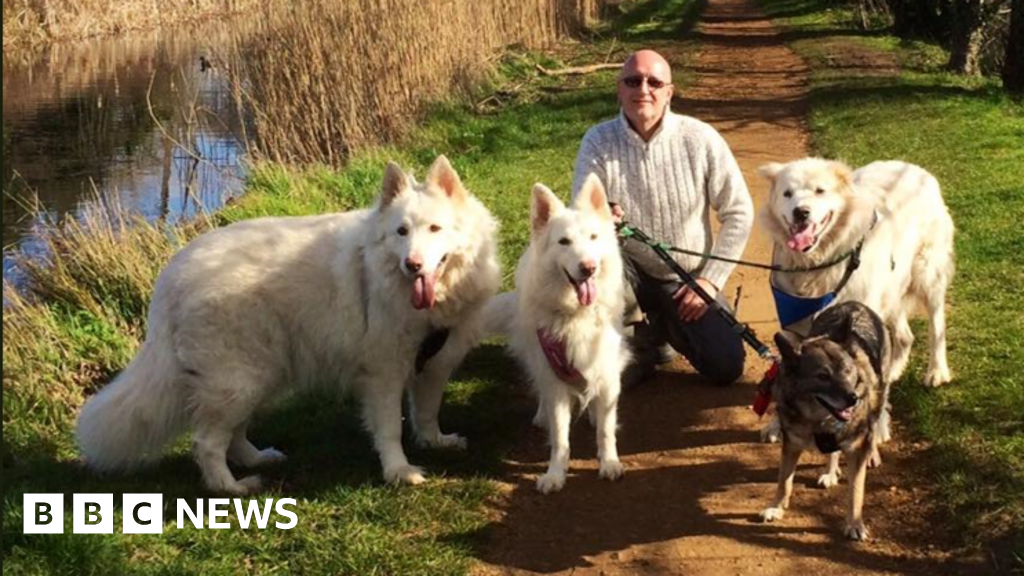 Disabled dog charity say all dogs need a 'forever home'