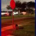 Dog found tied to Hollywood stop sign reunited with owner after 7News airs story about good Samaritan - WSVN 7News | Miami News, Weather, Sports