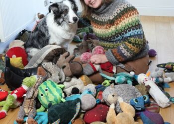 Britain's brightest pooch Harvey pictured at home next to his proud owner Irene Hewlett