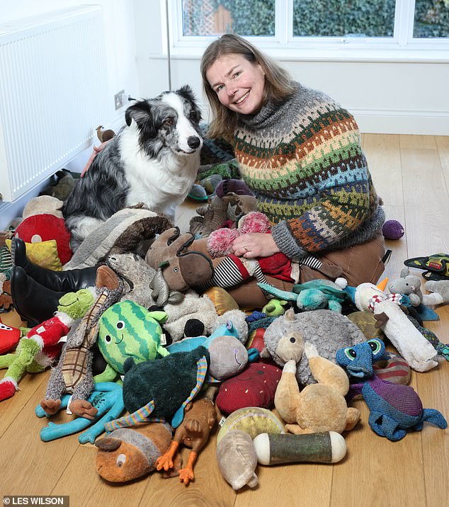 Britain's brightest pooch Harvey pictured at home next to his proud owner Irene Hewlett